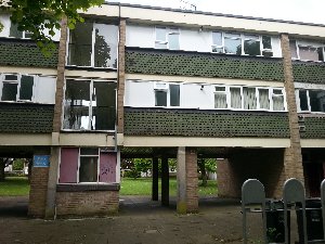 Front view